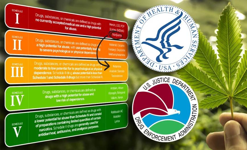 EEUU reclasificó al cannabis en la Lista III de estupefacientes prohibidos