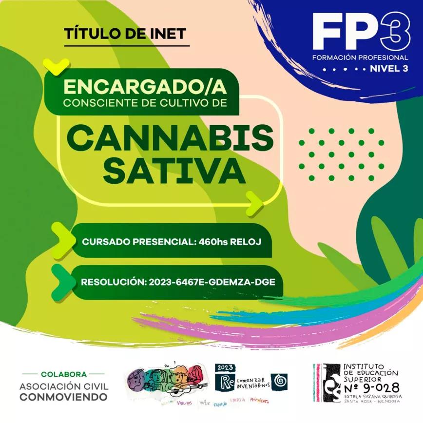 Lanzan en Argentina una formación universitaria sobre la industria del cannabis