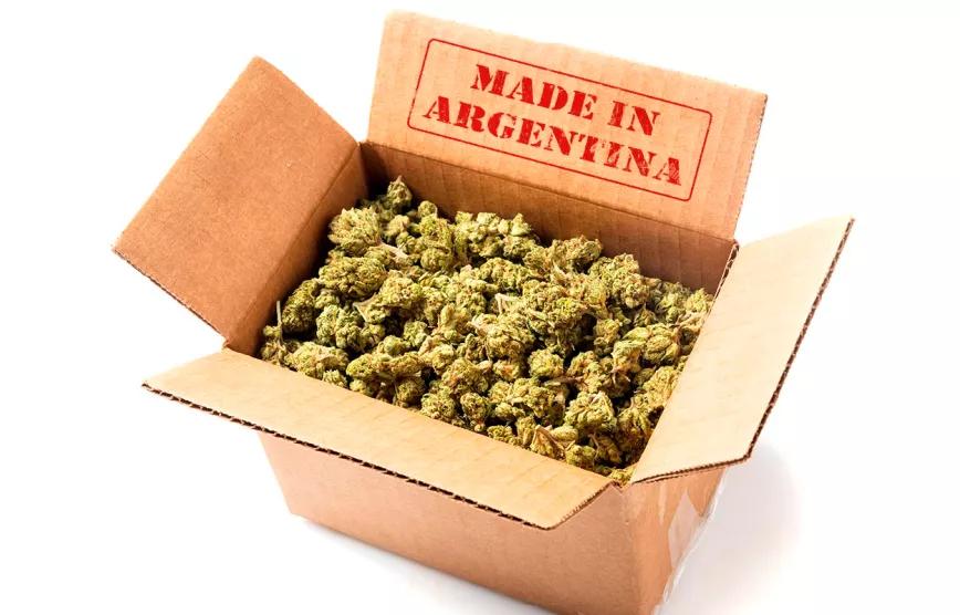 Argentina exportará flores de cannabis a Suiza