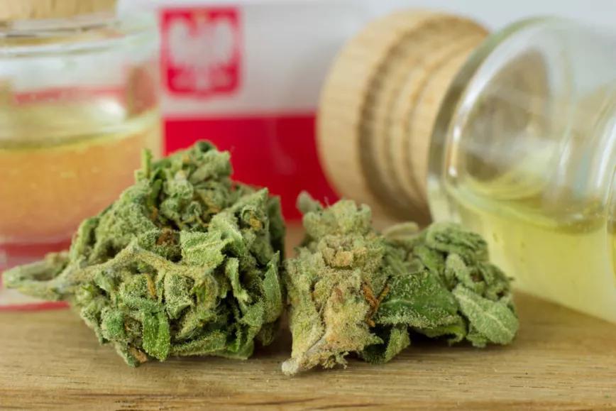 La demanda de cannabis medicinal en Polonia ha crecido un 9.420%