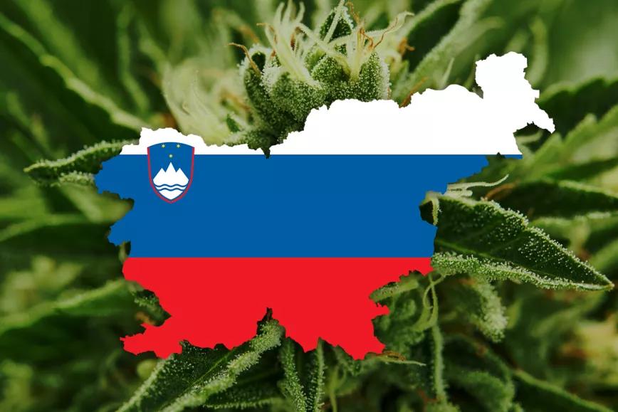 Se viene la legalización del cannabis en Eslovenia