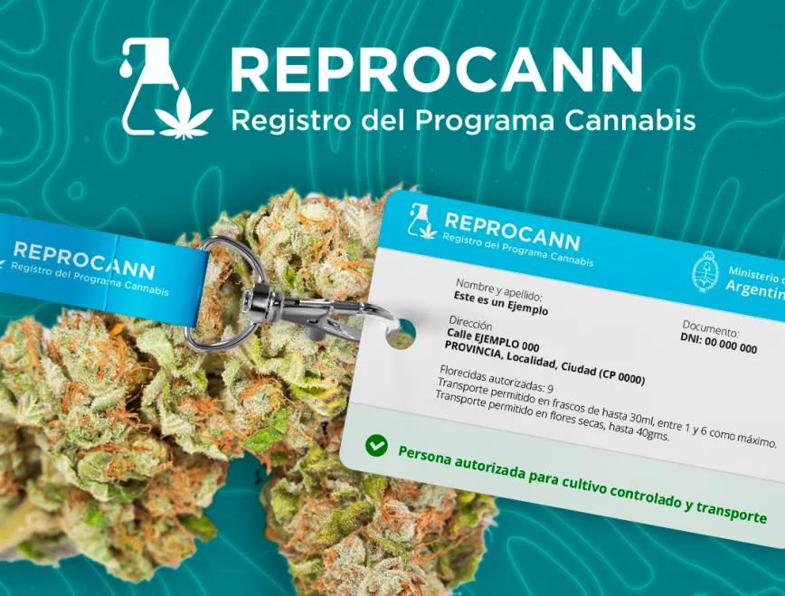 Diputados argentinos le piden al gobierno de Milei que reactive el Registro del Programa de Cannabis