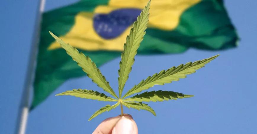 Brasil despenalizará la tenencia de cannabis o endurecerá las penas