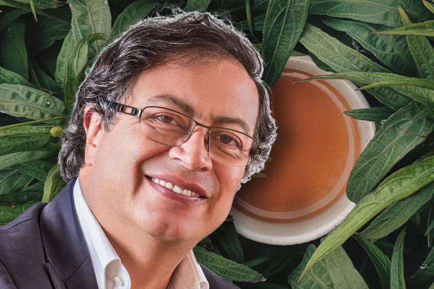 El presidente de Colombia, Gustavo Petro, consumió ayahuasca