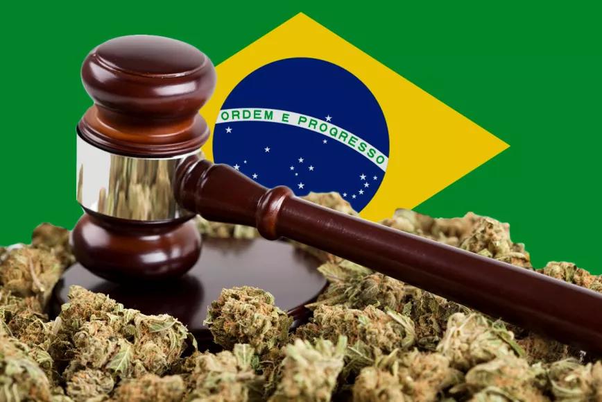 Brasil despenalizó la tenencia de cannabis para uso personal