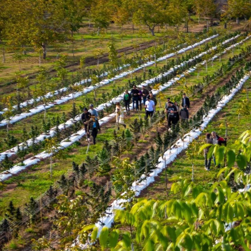 Inauguraron la primera finca de turismo cannábico en Argentina