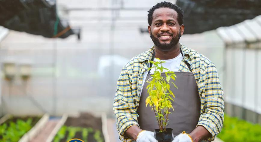 Programa de Desarrollo de la Fuerza Laboral del Cannabis