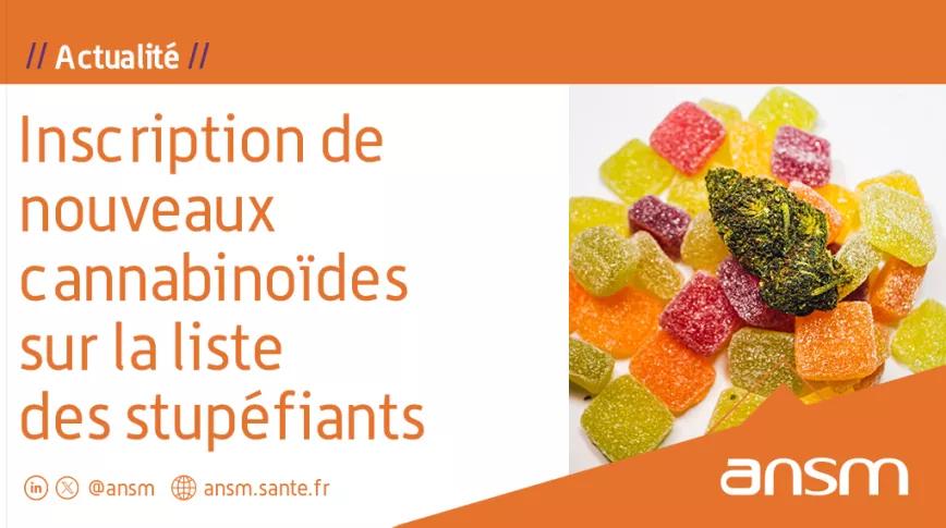 Francia emitió una advertencia sanitaria con una lista de cannabinoides semisintéticos