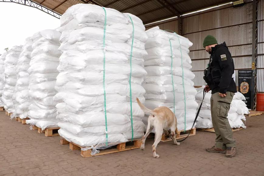 Encontraron 4 mil kilos de cocaína en Paraguay que iban a ser descargados en Bélgica