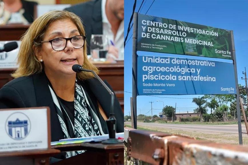 Una legisladora argentina denunció el abandono de un proyecto de cannabis estatal