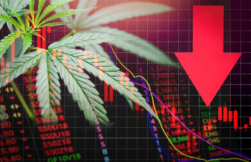 Solo una de cada cuatro empresas de cannabis en EEUU es rentable