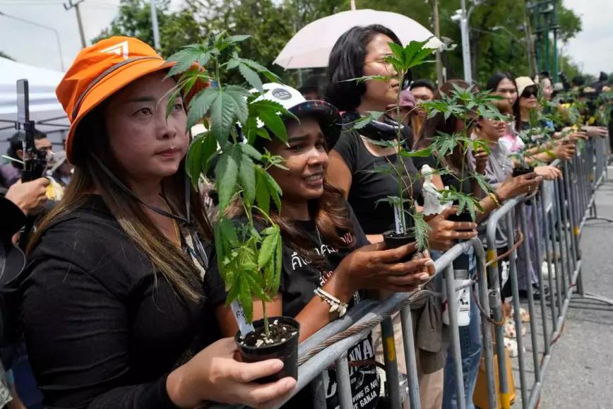 ¿Tailandia abandona el plan para volver a prohibir el uso recreativo del cannabis?