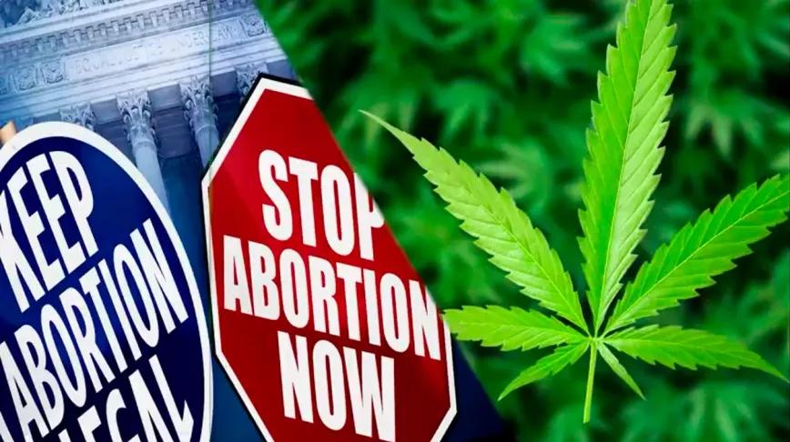 Cannabis y aborto: dos asuntos claves en las próximas elecciones de EEUU