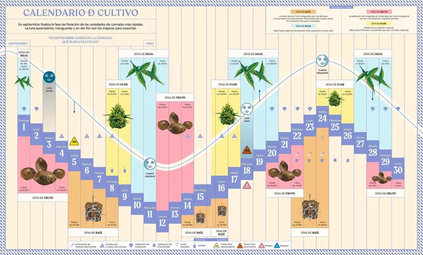 Calendario cultivo septiembre 2024 Cáñamo 321