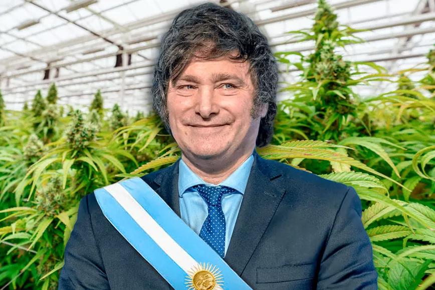 El gobierno argentino de Javier Milei intervino la Agencia Nacional de Cannabis