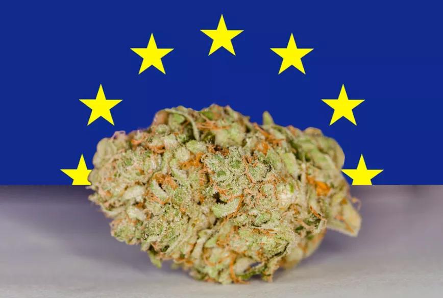 Empresarios cañameros de Italia recurrieron al Parlamento Europeo para impedir la prohibición del CBD