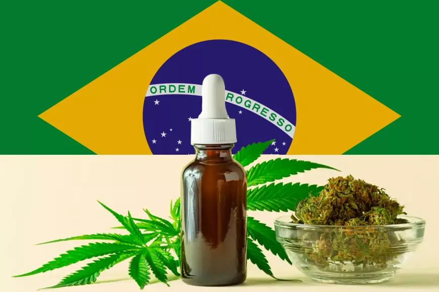 Un estado de Brasil legaliza el cannabis medicinal