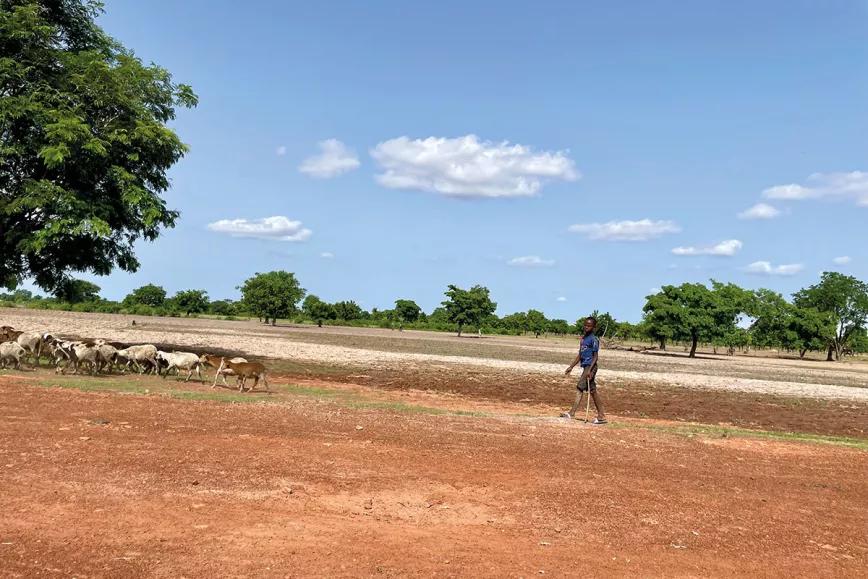 Un porro en Togo: peinados afro, historias que se repiten y un dios de tres penes