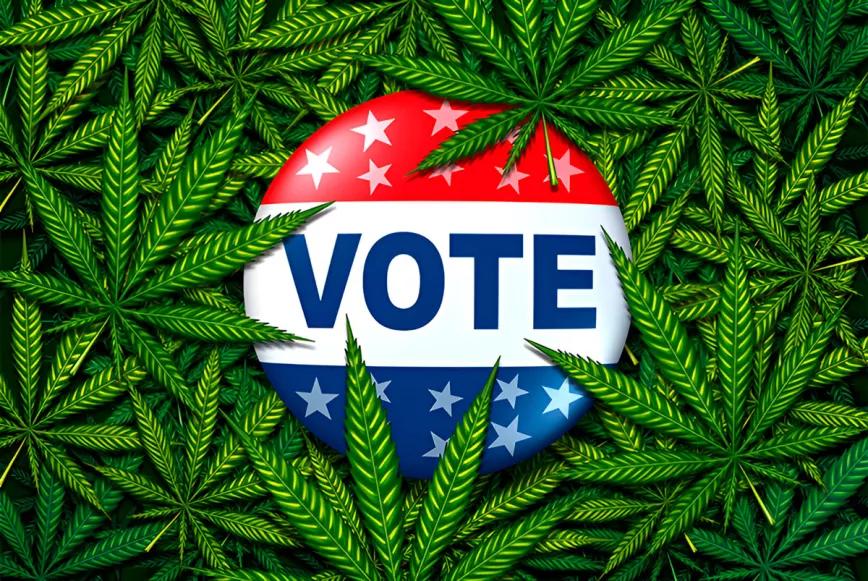 Elecciones en EEUU: ¿qué estados votarán la despenalización del cannabis?