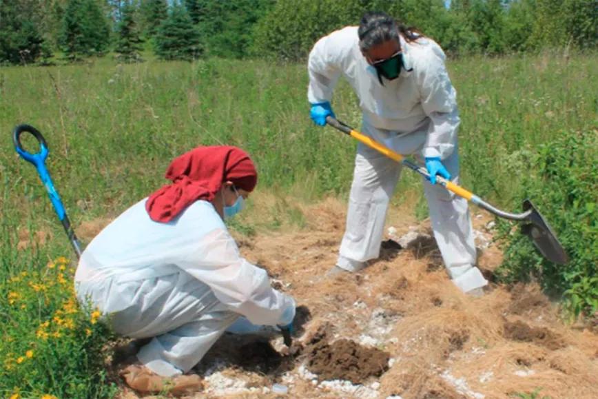 Un pueblo indígena de EEUU limpia suelos contaminados de una antigua base militar con cáñamo