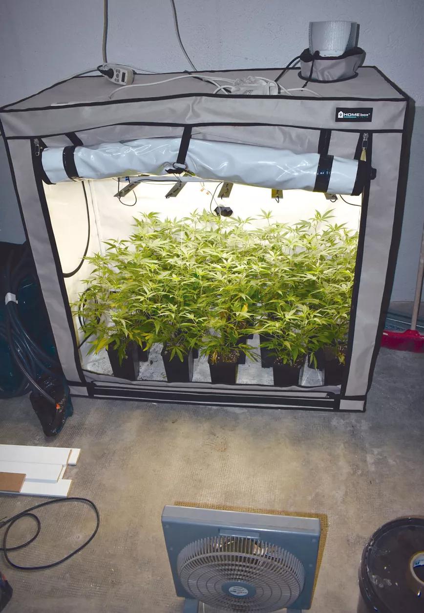 Diez trucos para automatizar un cultivo de interior