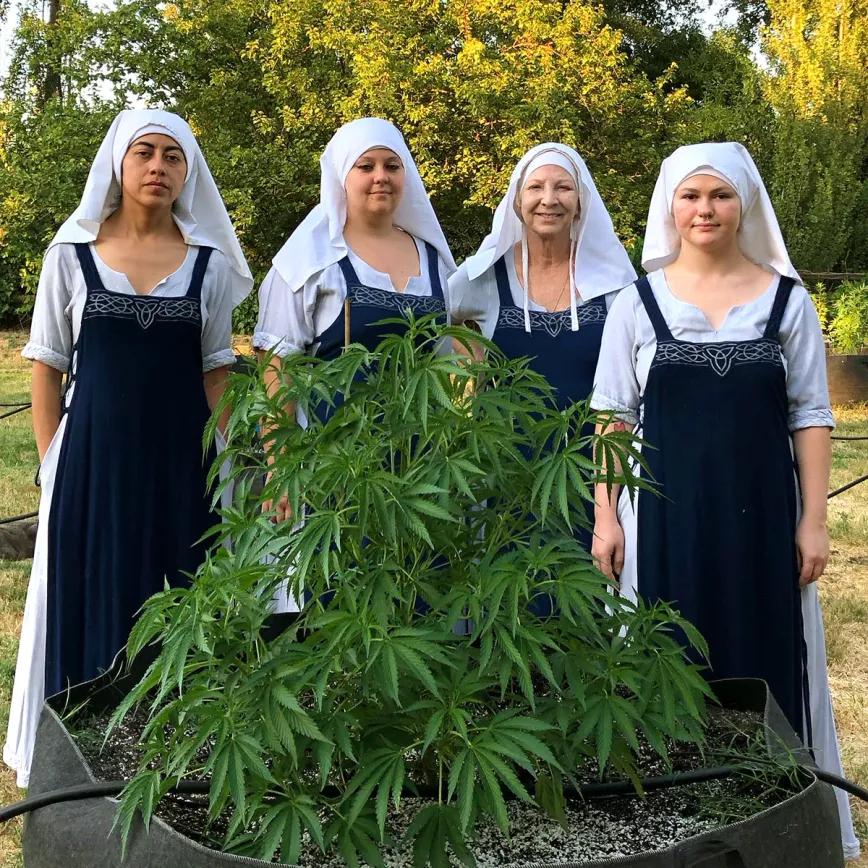 Las Hermanas del Valle buscan voluntarios para trabajar en su cultivo comunitario de cannabis