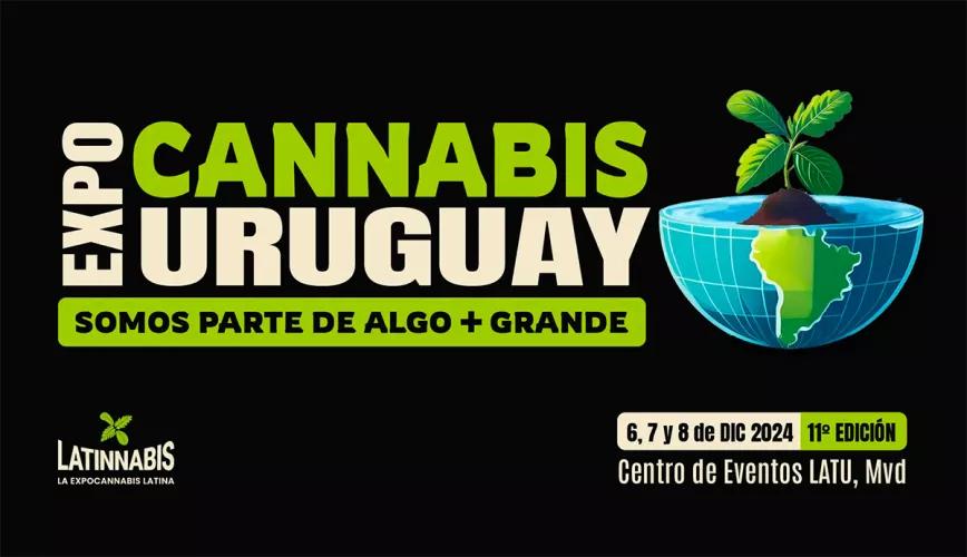 Este fin de semana comienza la 11° edición de la feria ExpoCannabis Uruguay