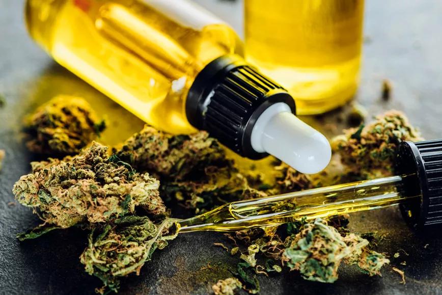 Una nueva provincia argentina busca despegarse de la política anti cannabis de Javier Milei