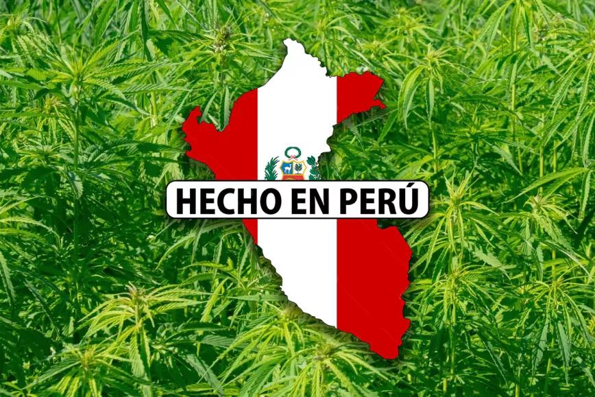 Perú legaliza la industria del cáñamo