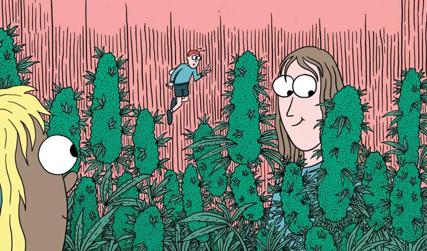 La cosecha de las sativas en exterior: trucos y claves