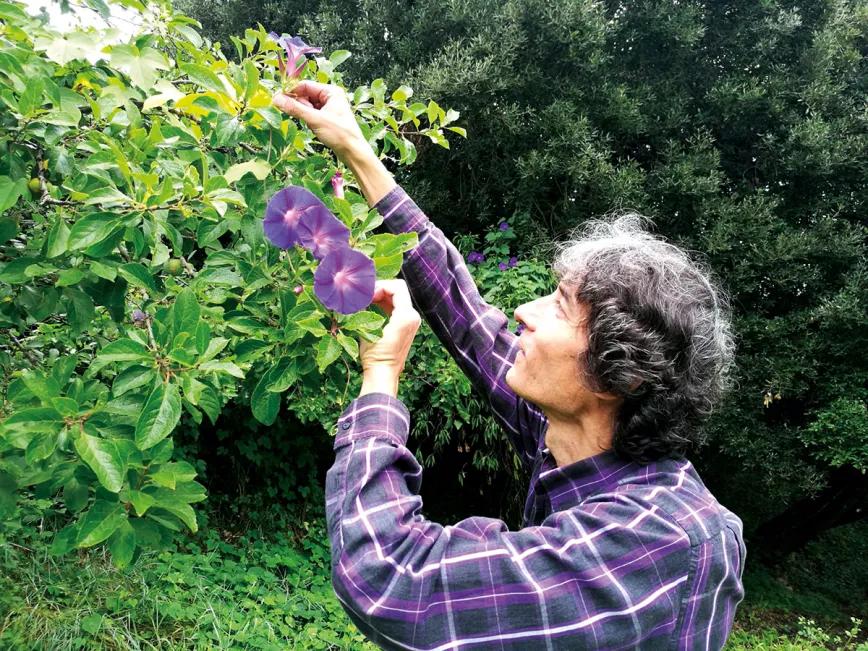 La alternativa vegetal de Luis Otero