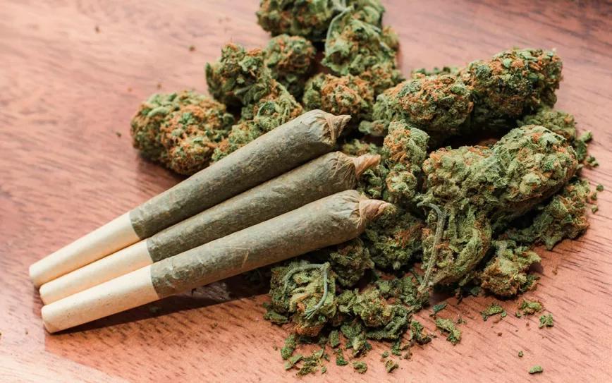 Encuentran bacterias y pesticidas en el cannabis que se vende en los coffee shops holandeses