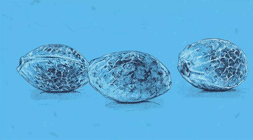 ¿Cuánto dura la floración?