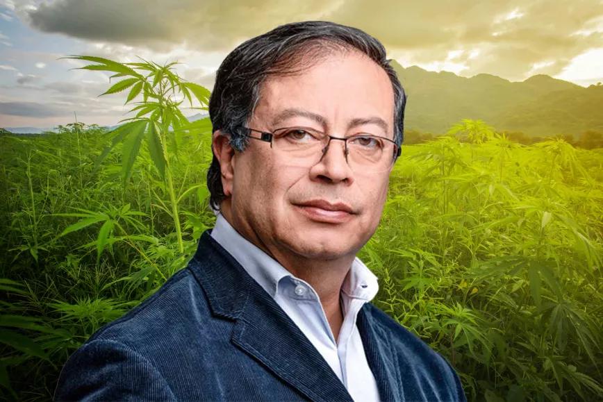 Gustavo Petro pide al Congreso legalizar el cultivo de marihuana para frenar la violencia