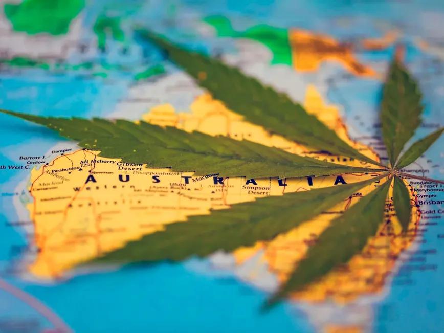 La legalización del cannabis en Australia generaría más de 640 millones de euros