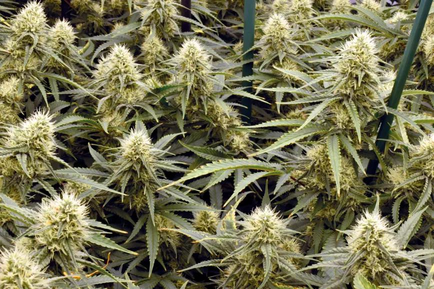 Control de la altura en interior