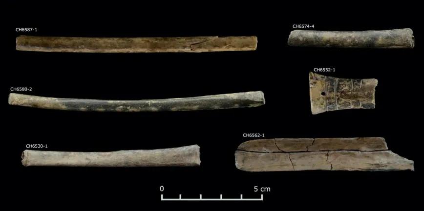 チャビン・デ・ワンタルで発見された、中空の骨から彫り出された、タバコや幻覚剤のビルカを吸入するために使われた管。ダニエル・コントレラス