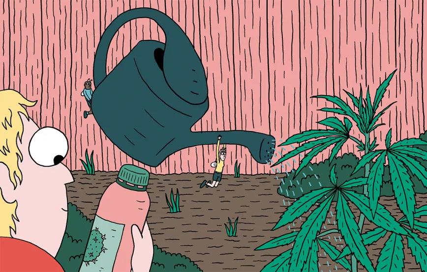 Alimentar las plantas para lograr la mejor cosecha: diez trucos para abonar como un experto 