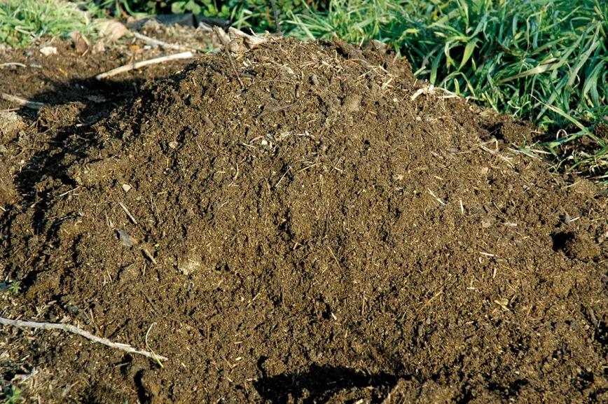 Prepararemos un sustrato fértil añadiendo a la tierra distintos materiales orgánicos como humus o guano y así tendremos muchas menos carencias. 