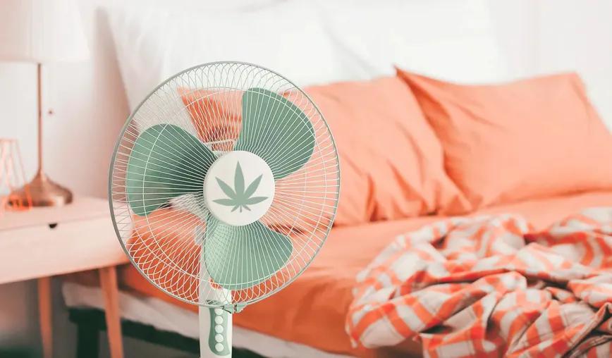 Cannabis como aliado para dormir en las noches de calor