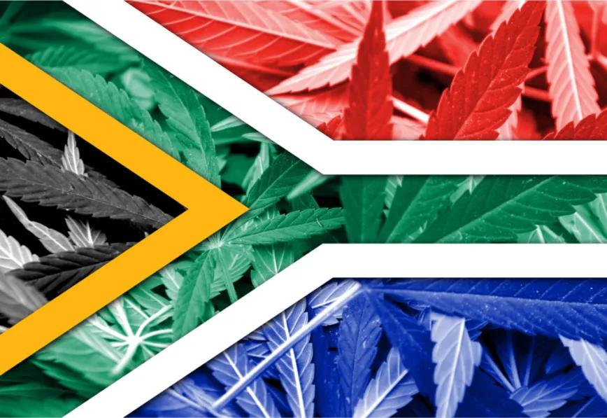Simposio en Johannesburgo impulsa una regulación más inclusiva del cannabis