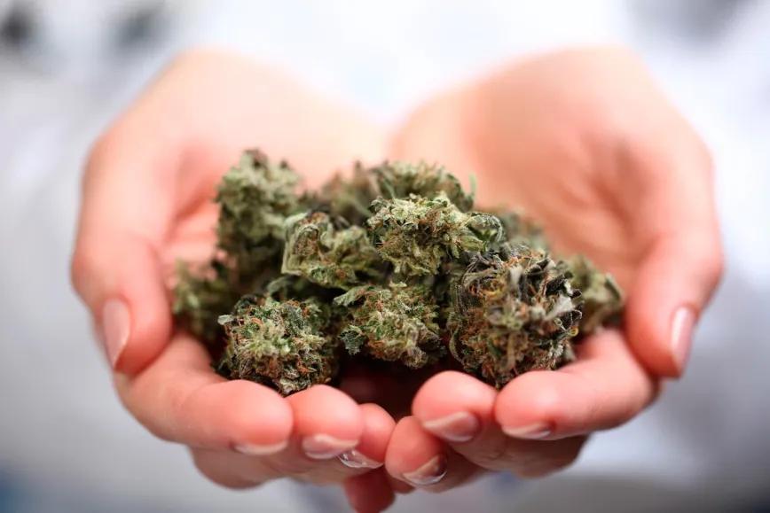 Alemania bate récords en cannabis medicinal pese a los ajustes