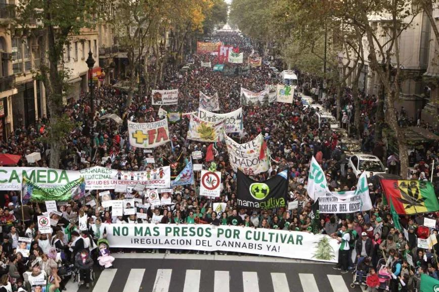 Organizaciones argentinas lanzan Movimiento Cannábico Autoconvocado