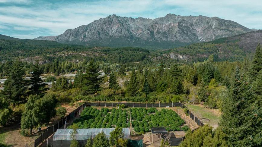 Integran ecoturismo y ciencia cannábica en la montaña argentina