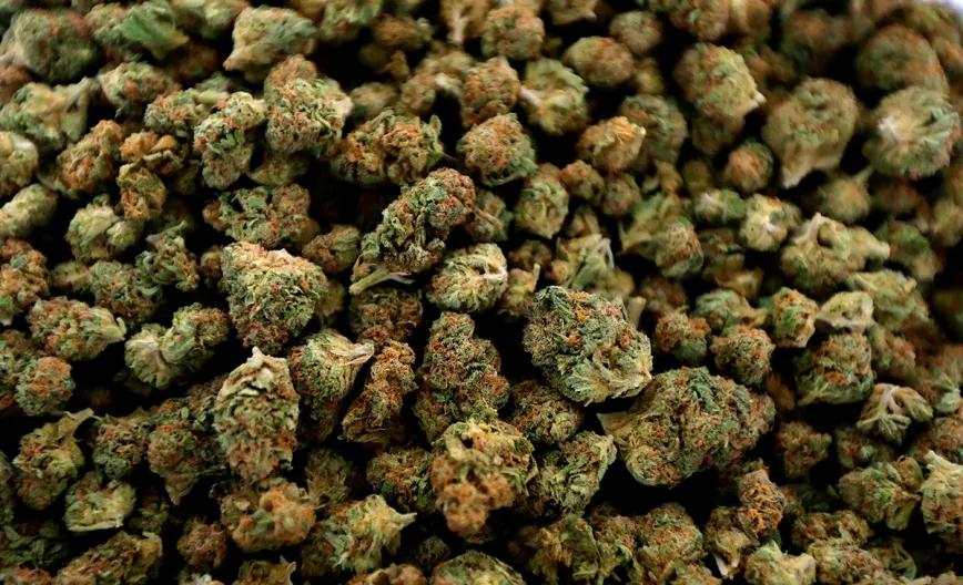 Volvemos a preguntarnos: ¿es posible la sobredosis por cannabis?
