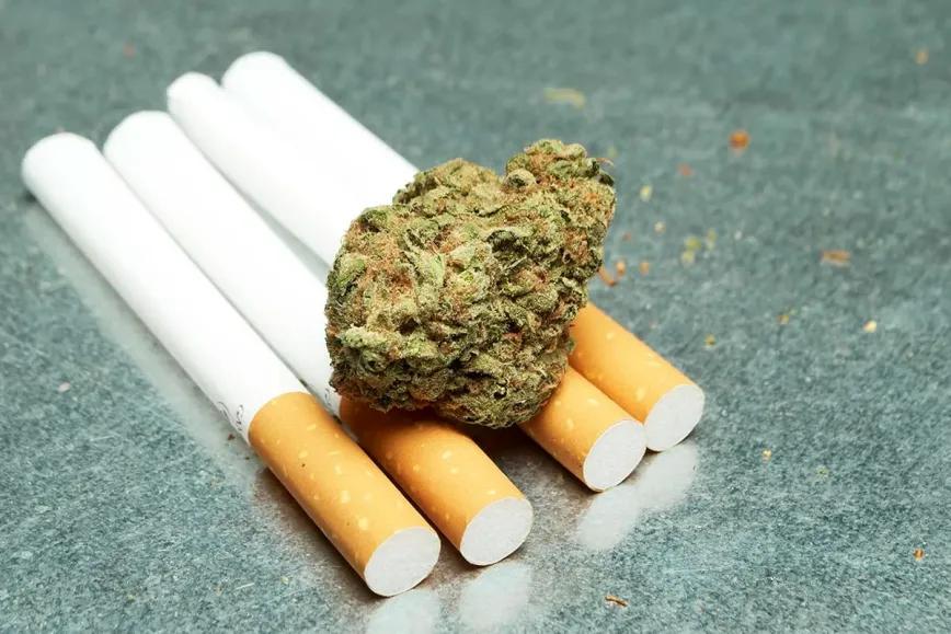 Sube el uso de cannabis y baja el consumo de cigarrillos