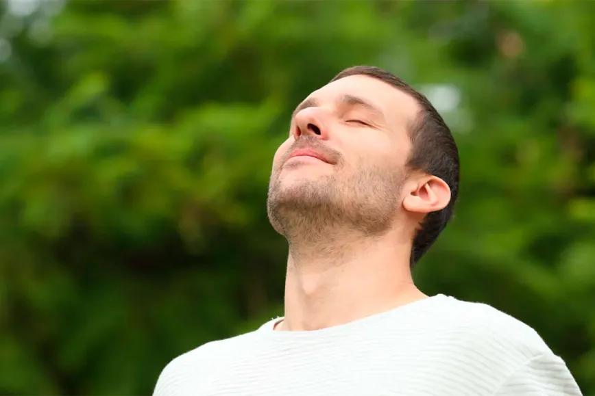 CBD y THC muestran eficacia frente a migraña en estudio preclínico