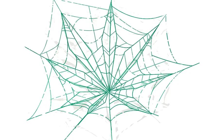 Trastorno por uso de cannabis