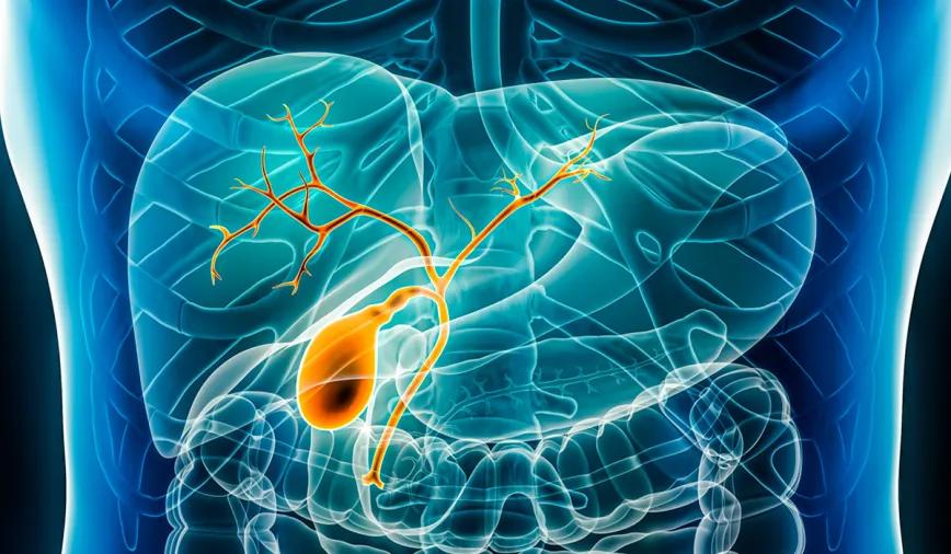 Cannabis terapéutico se asocia a mayor supervivencia en cáncer biliar