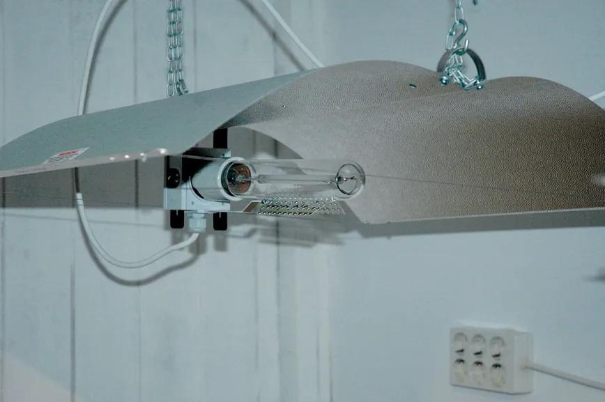 Diez pasos para montar el primer cultivo interior 